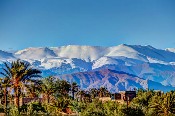 Morocco Group Tour